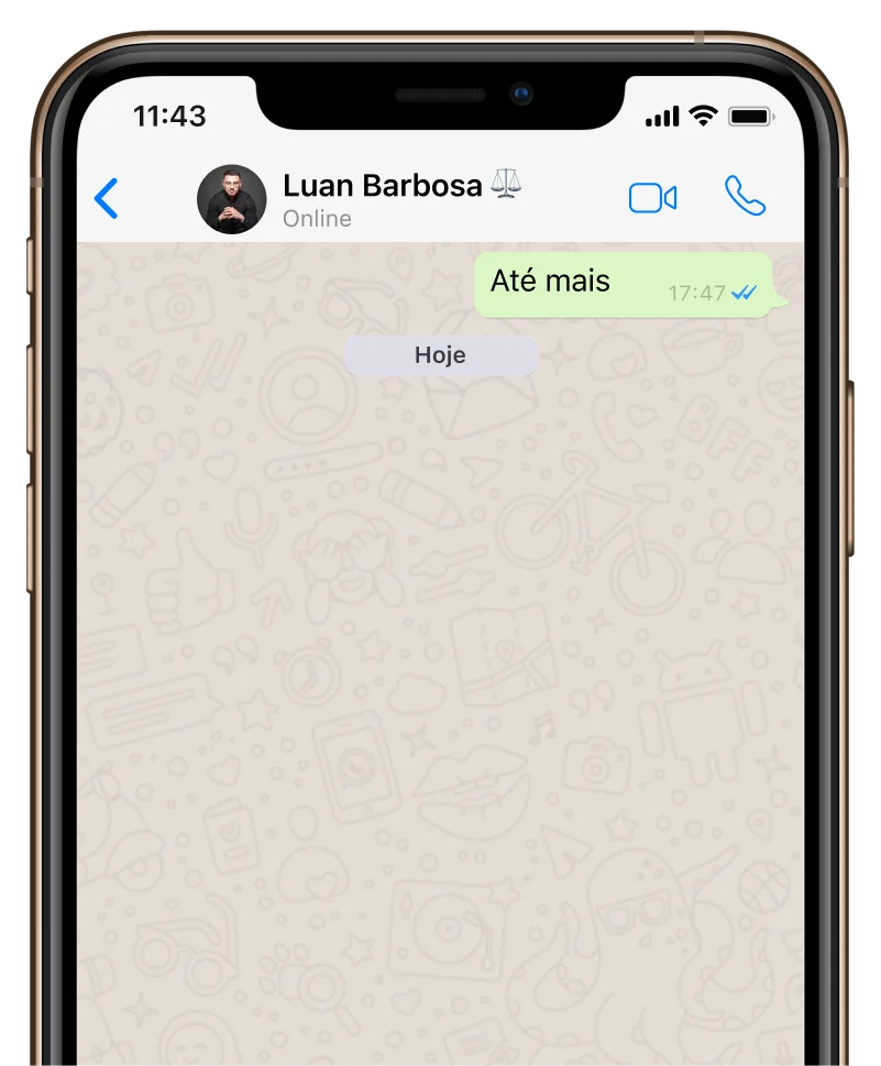 Mockup iPhone mostrando site Luan Barbosa