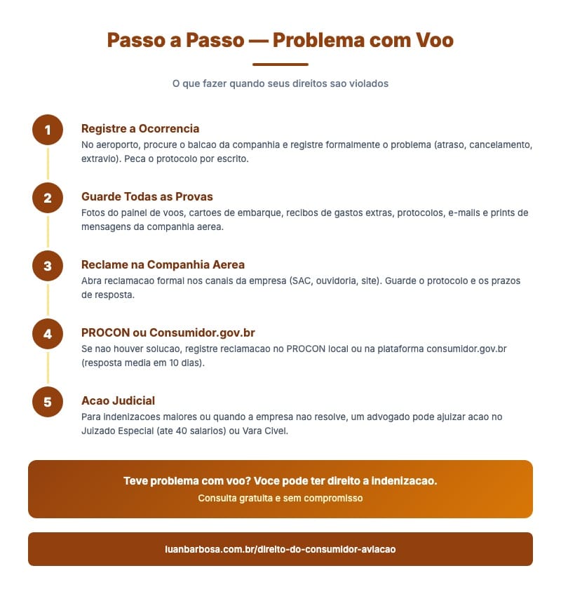 Infografico passo a passo para resolver problema com voo