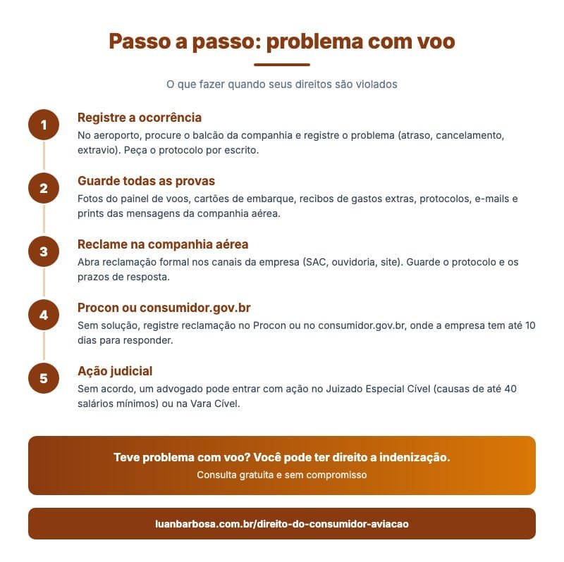 Infográfico passo a passo para problema com voo: registrar a ocorrência, guardar provas, reclamar na companhia, Procon ou consumidor.gov.br e ação judicial